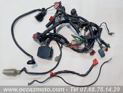 Faisceau complet Honda CBR 600 PC23