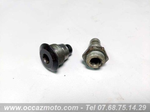 Deux Vis pivot du bras oscillant BMW R 1100 R