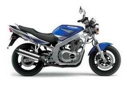 Suzuki GSE