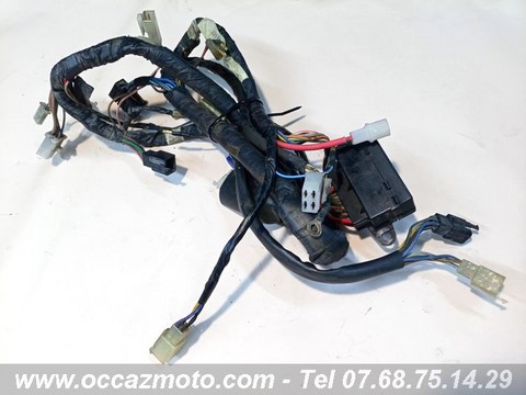 Faisceau Yamaha XJ 600 Diversion