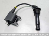 Bobine N1 Triumph Trophy 900 - T336