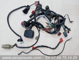 Faisceau complet Honda CBR 600 PC23