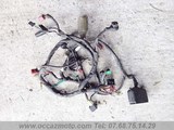 Faisceau Honda CBR 600 
